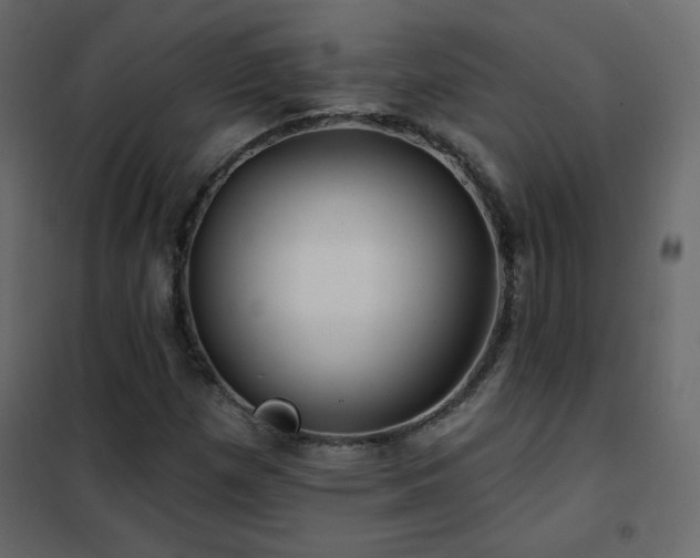 X0000102541257200808081513