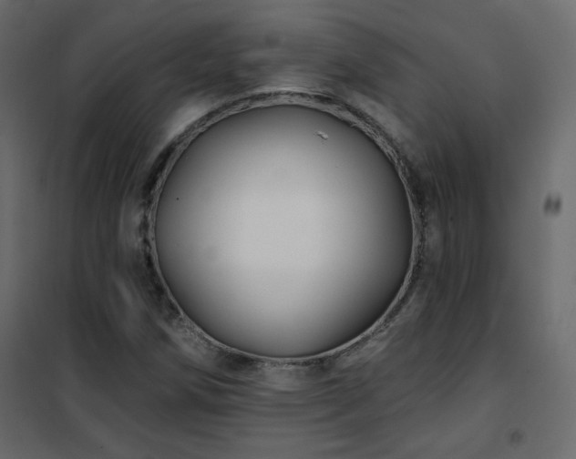 X0000102541258200808081513