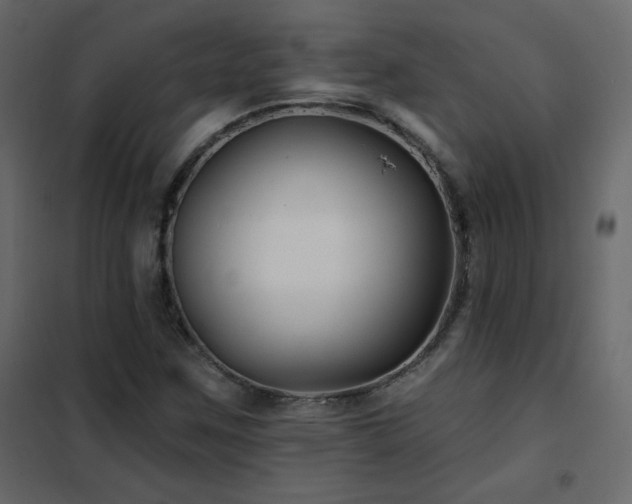 X0000102541259200808081513
