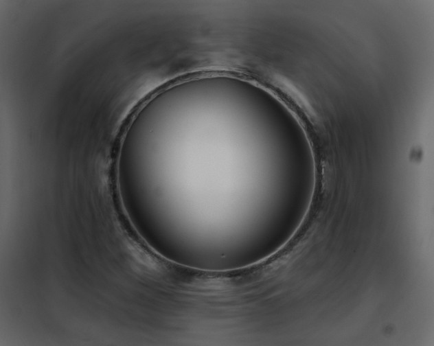 X0000102541260200808081513