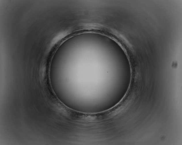 X0000102541261200808081513