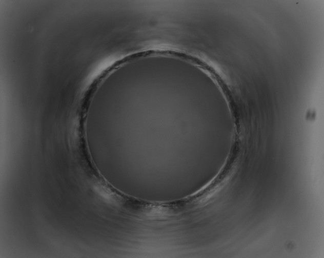 X0000102541263200808081513