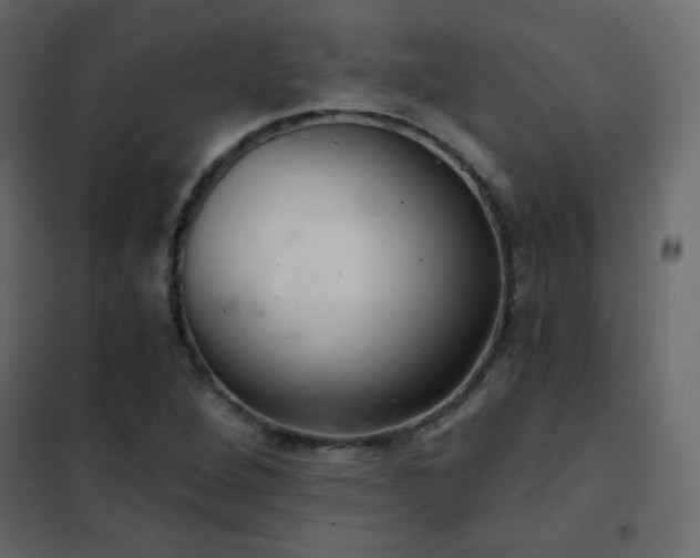 X0000102541264200808081513
