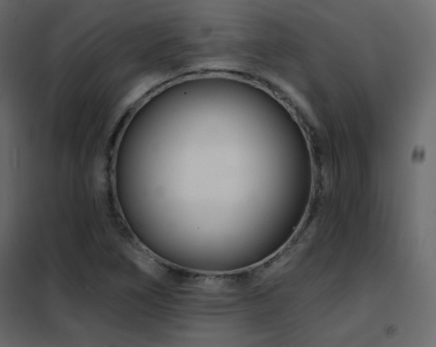 X0000102541266200808081513