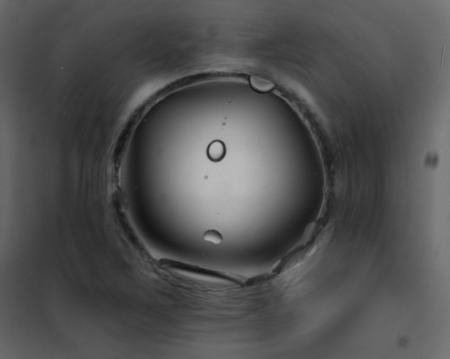 X0000102541267200808081513