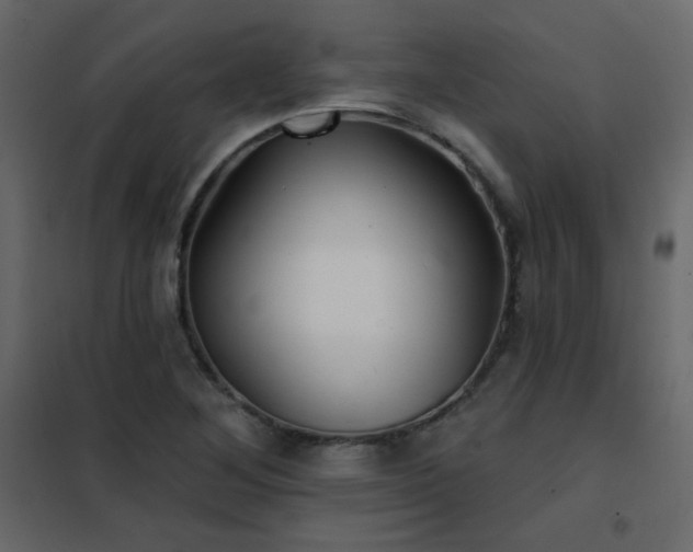 X0000102541268200808081513