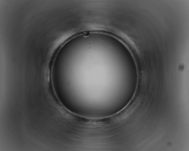 X0000102541269200808081513