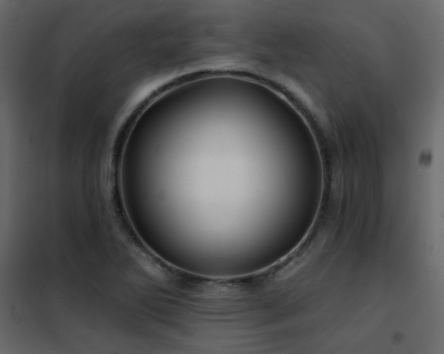 X0000102541270200808081513