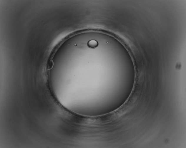 X0000102541271200808081513