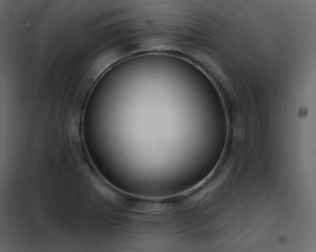 X0000102541273200808081513