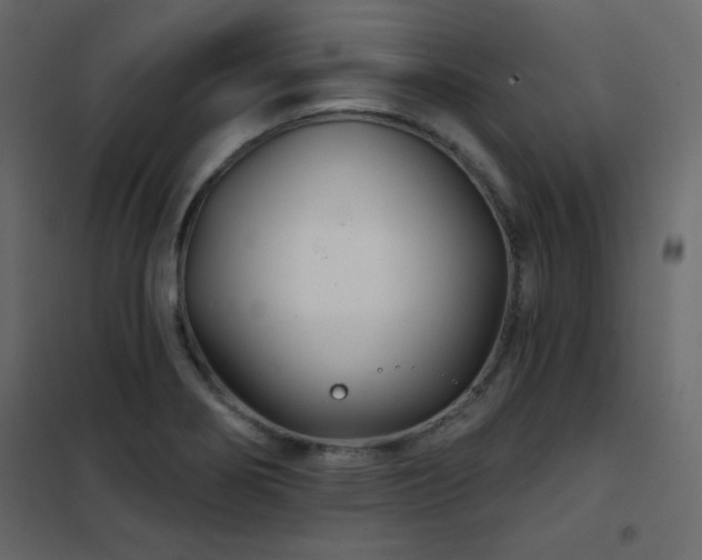 X0000102541274200808081513