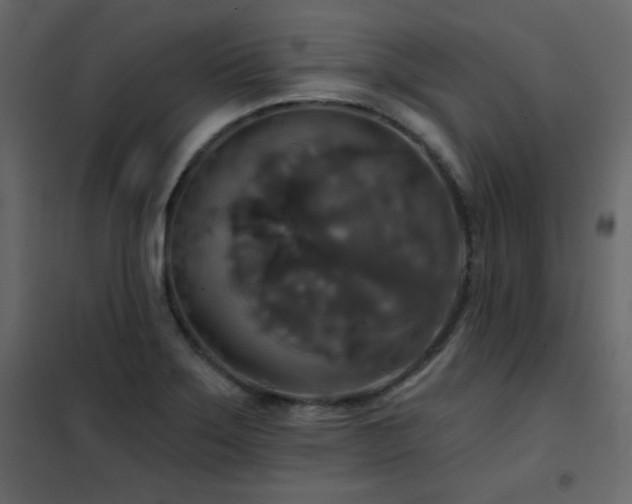 X0000102541275200808081513