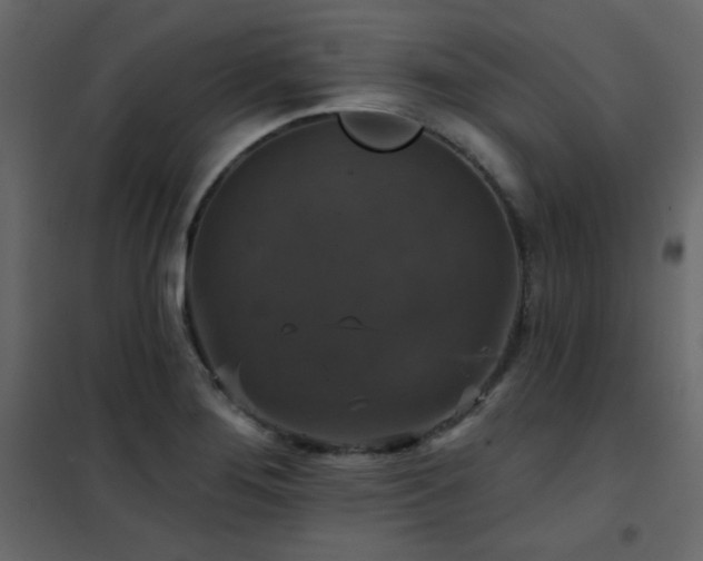 X0000102541276200808081513