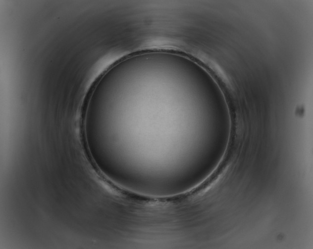 X0000102541277200808081513