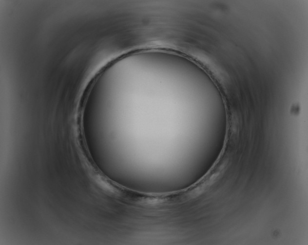 X0000102541278200808081513