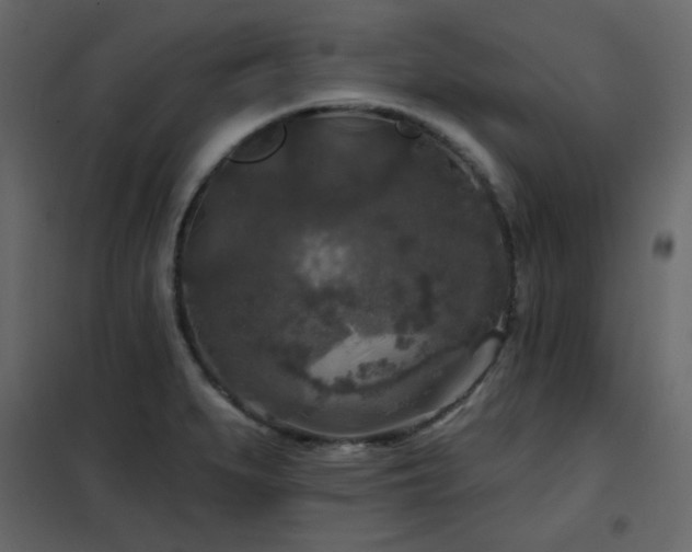 X0000102541279200808081513