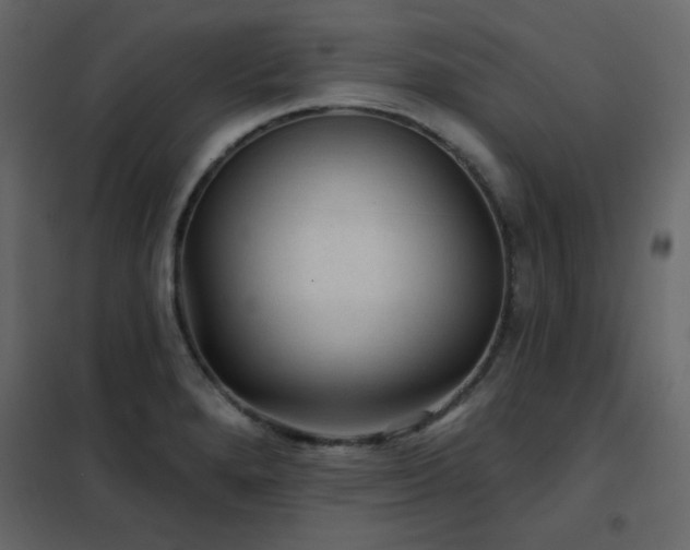 X0000102541280200808081513