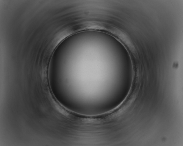 X0000102541281200808081513