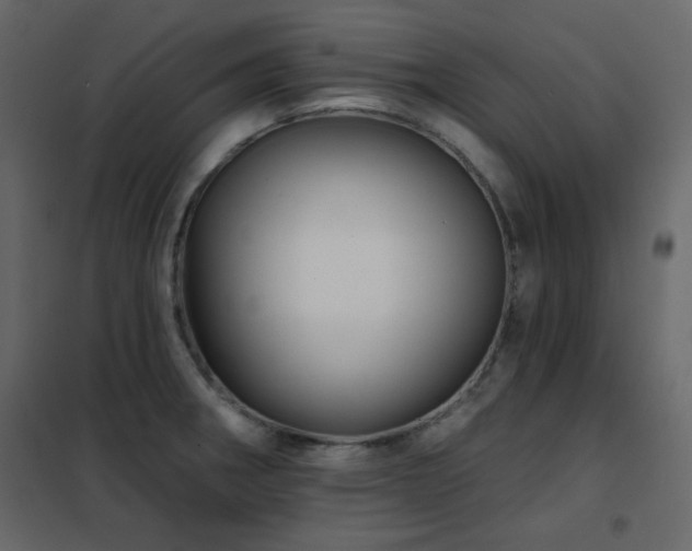 X0000102541282200808081513