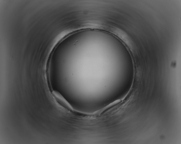 X0000102541283200808081513