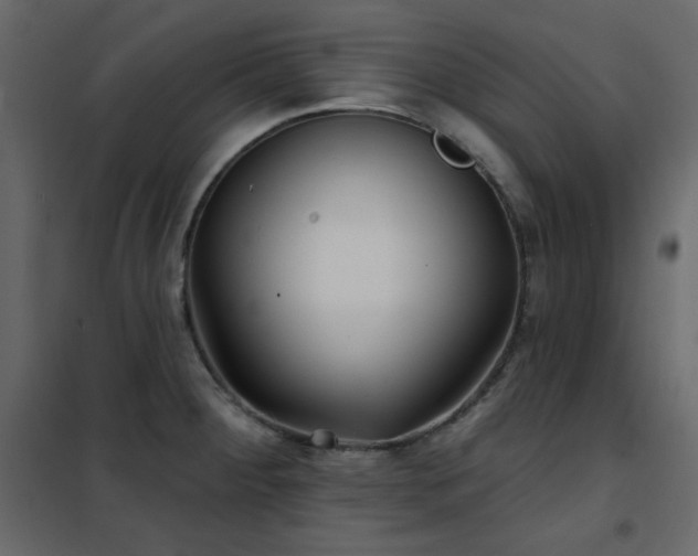 X0000102541284200808081513