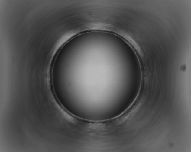 X0000102541285200808081513