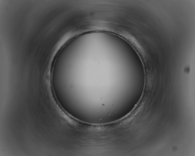 X0000102541286200808081513