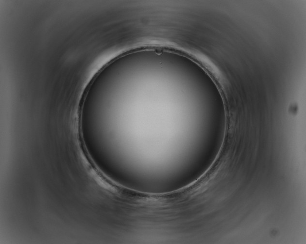 X0000102541287200808081513