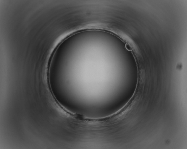 X0000102541288200808081513