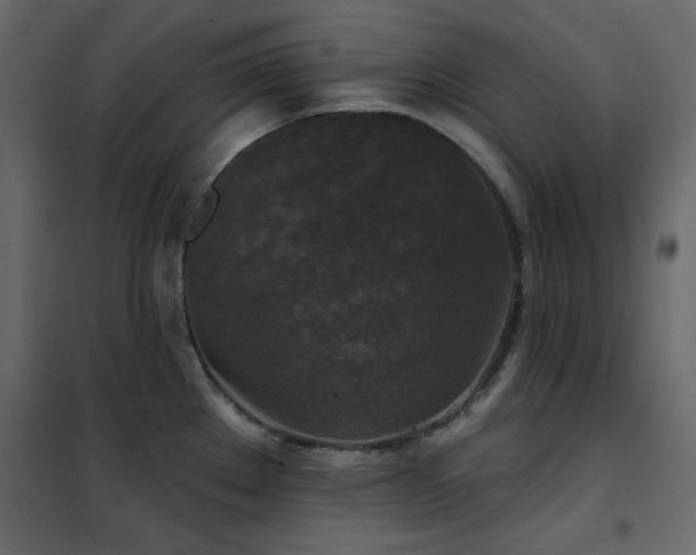 X0000102541289200808081513