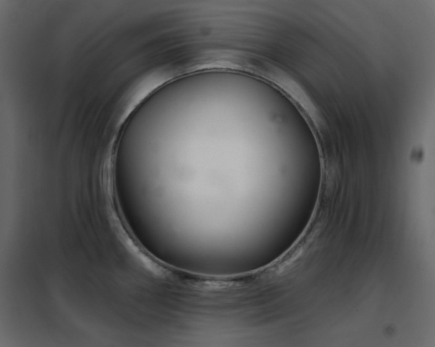 X0000102541290200808081513
