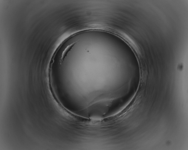 X0000102541291200808081512