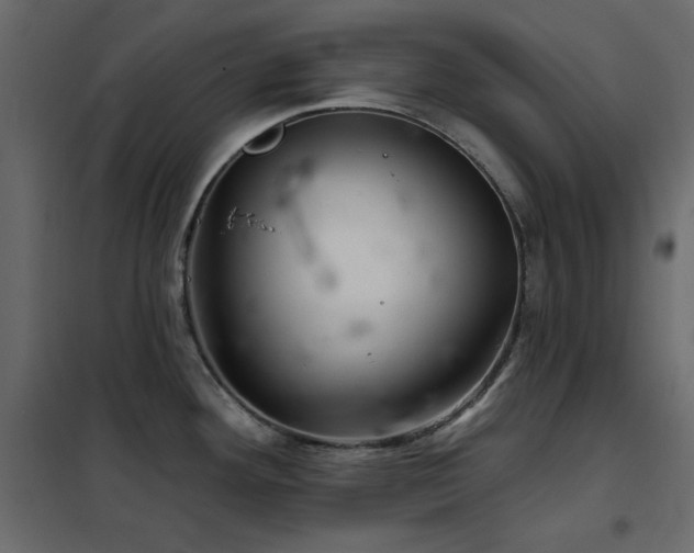 X0000102541292200808081512
