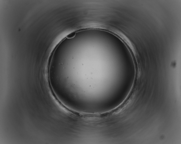 X0000102541293200808081512
