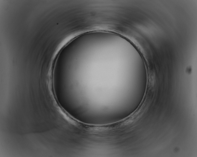 X0000102541294200808081512