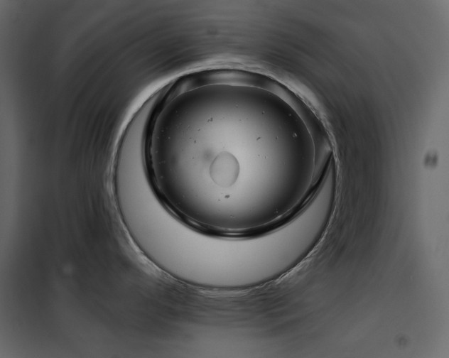 X0000102541296200808081512