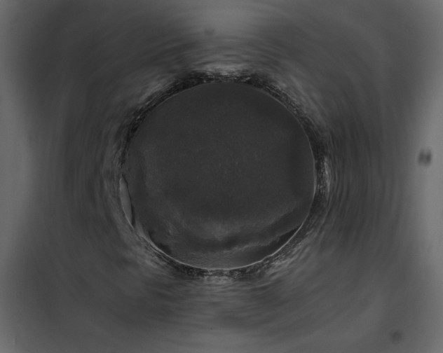 X0000102541297200808081512
