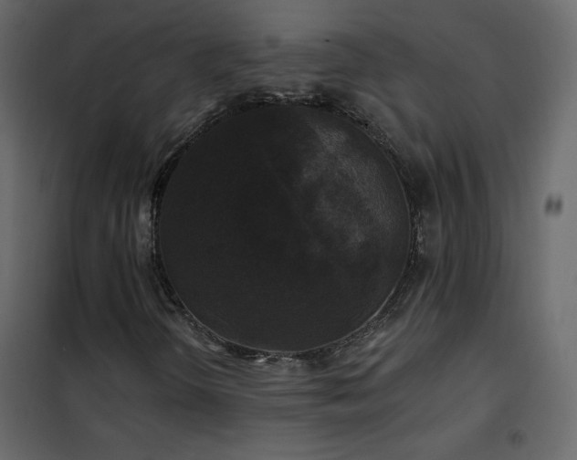 X0000102541298200808081512