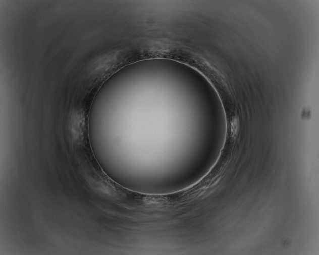 X0000102541299200808081512
