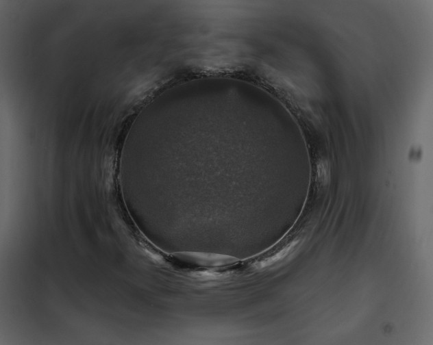 X0000102541300200808081512