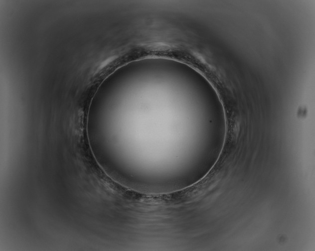 X0000102541301200808081512