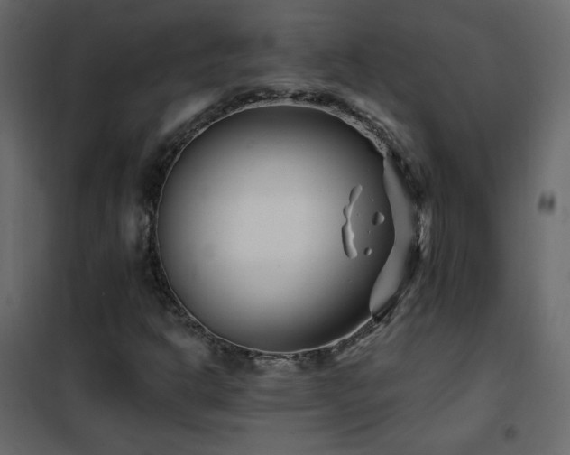 X0000102541302200808081512