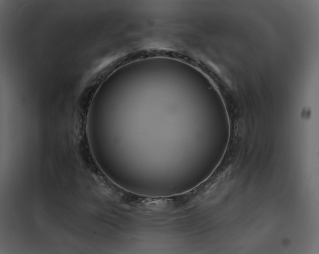 X0000102541303200808081512