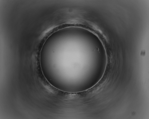 X0000102541304200808081512