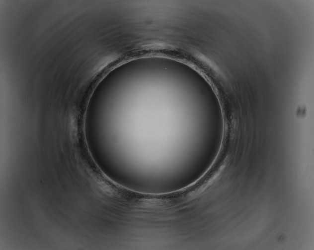 X0000102541305200808081512