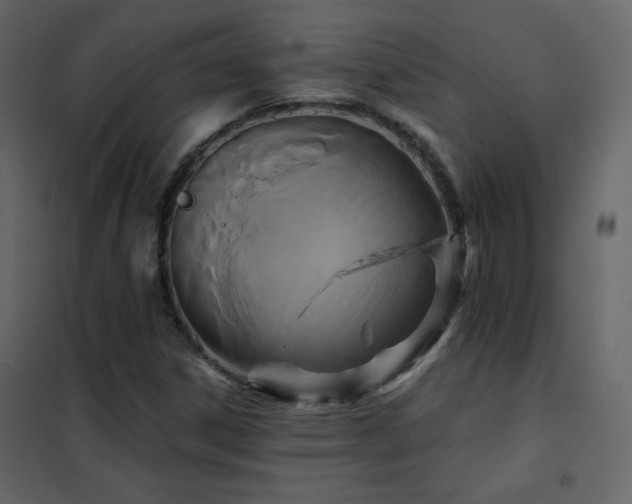 X0000102541306200808081512