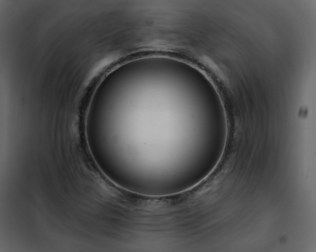 X0000102541307200808081512