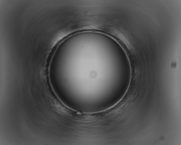 X0000102541308200808081512