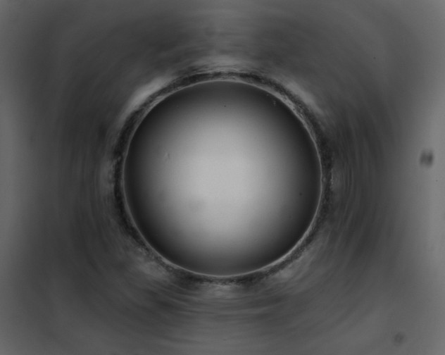 X0000102541309200808081512