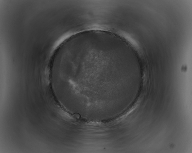 X0000102541310200808081512
